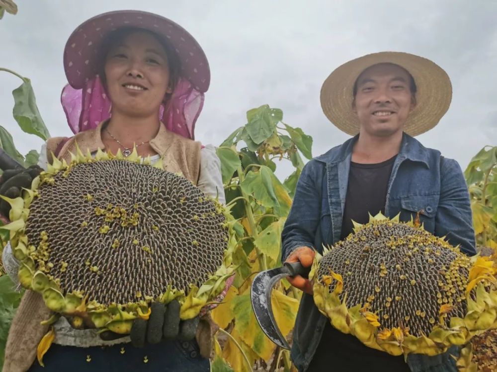 热点生活 第38页