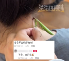 游戏专题 第21页